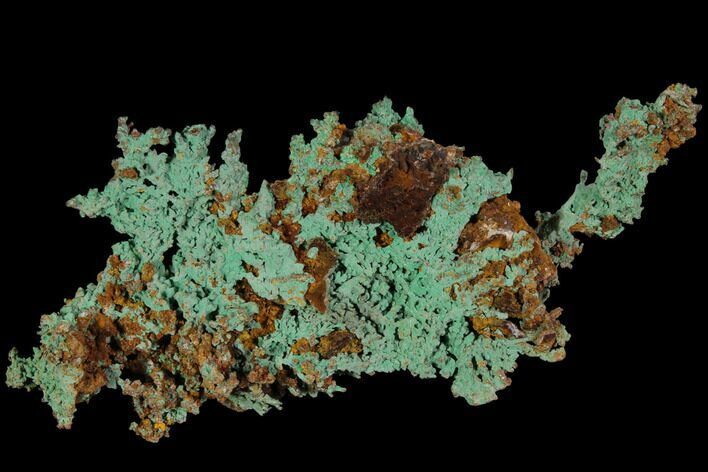 Natural, Native Copper with Quartz - Morocco #117696